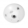 NCA06E-FEA